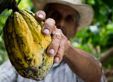 Visita la Feria Nacional de Cacao y Chocolate 2022