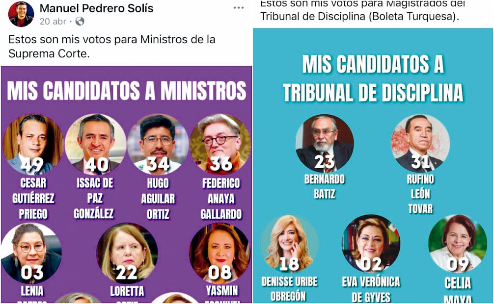 Personajes ligados a la Cuarta Transformación hacen públicas sus intenciones de voto para el próximo 1 de junio, como Manuel Pedrero, que se identifica como periodista y es cercano a la 4T; Fabrizio Mejía, escritor y analista, y Aleida Hernández, abogada y analista política en Canal Once y Canal 22. Fotos: Captura de pantalla