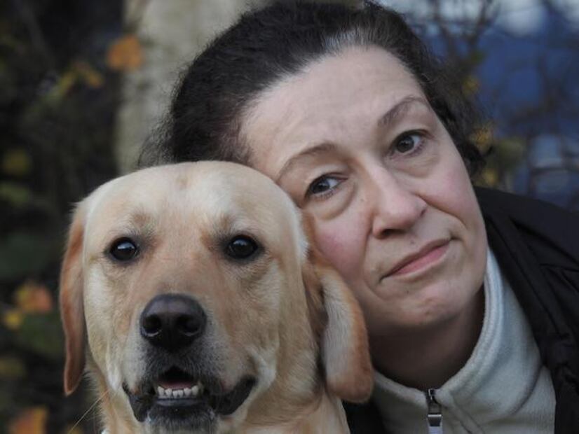 Las personas suelen elegir perros que les reflejan de algún modo. Fuente: Freepik.
