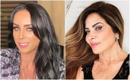 Broncas fiscales y labor altruista, el caso de Gómez Mont, Trevi y otros famosos