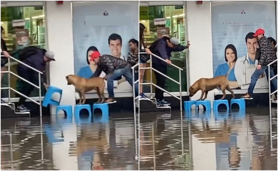 Ayudan a perrito a cruzar en plena inundación. Foto: Captura de video @hoysololeslie