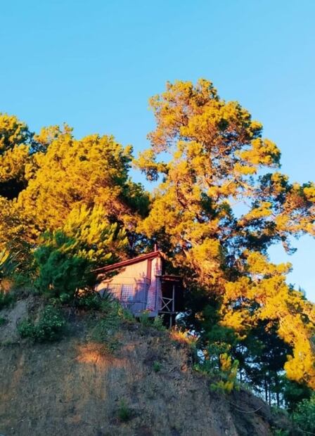 Súbete a un columpio extremo en Ben'Zaa, un bosque de niebla en Oaxaca