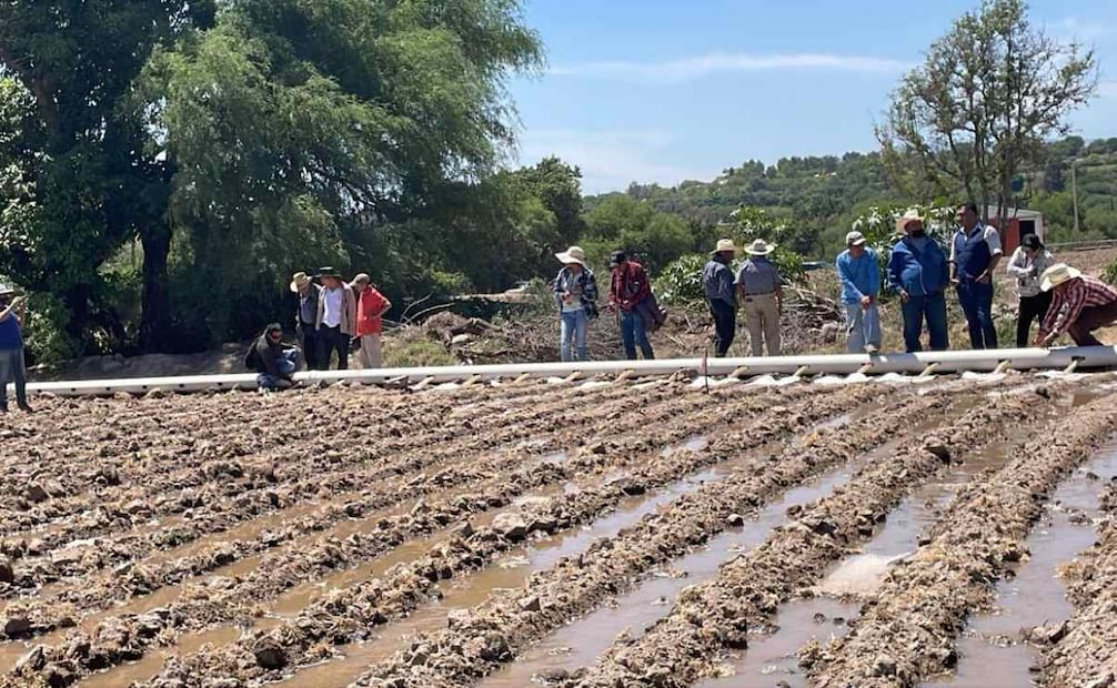 Sistemas de riego en México. Foto: Archivo / Especial