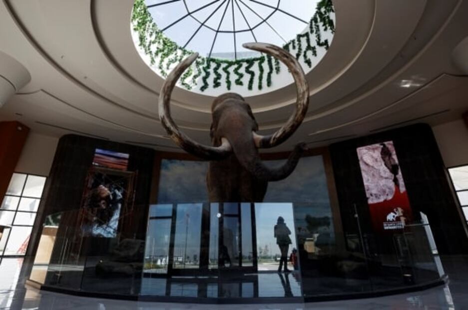 Así será el Museo del Mamut en el Aeropuerto Internacional Felipe Ángeles