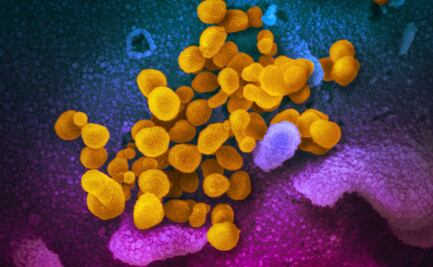 Descubren que proteína del coronavirus presenta 13 mutaciones a la vez en Tanzania