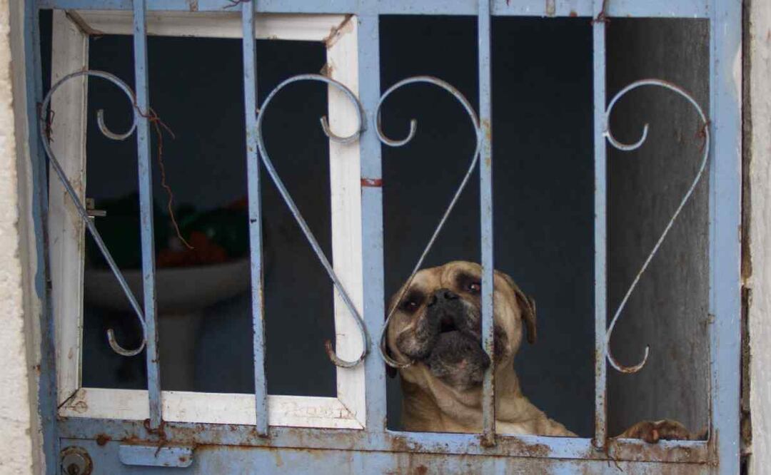 Foto: Archivo Cuartoscuro/ El Universal