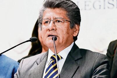 Requiere consenso ley de seguridad: Martínez Neri