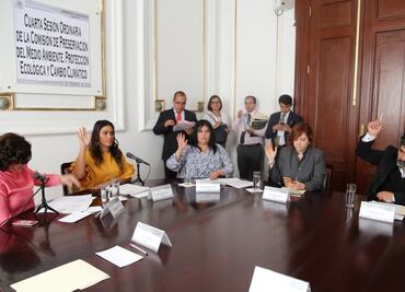 Eligen en comisiones a Mariana Boy como procuradora ambiental