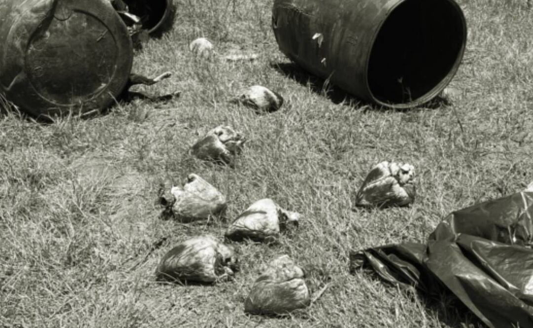 Fotos: Cortesía Hoy Tamaulipas