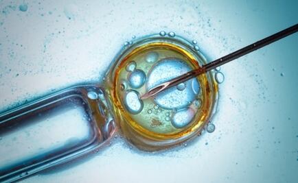 Generan biotecnología a favor del medio ambiente