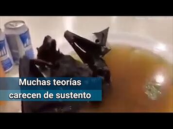 Las 5 noticias falsas sobre el coronavirus de Wuhan que circulan en internet