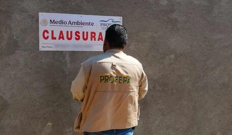 Profepa clausura obras irregulares en Morelos y Yucatán; fueron realizadas sin autorización ambiental