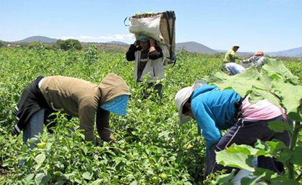 Florida jury awards US$17.5 million to abused migrant female farm workers
