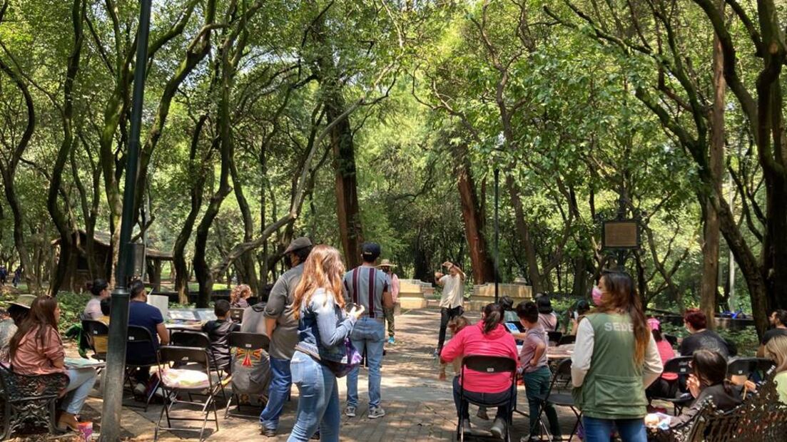 Foto: Bosque de Chapultepec