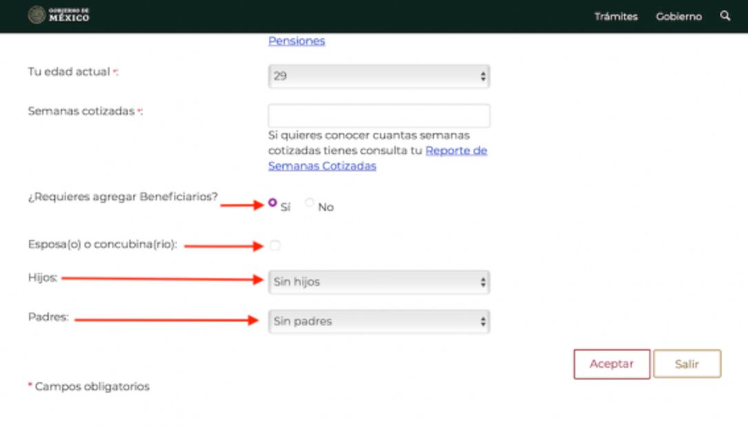 ¿Cómo calcular tu pensión?, este simulador del IMSS te ayuda