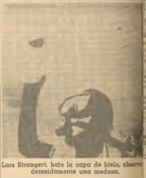 Ataque de un oso polar: la odisea de un reportero de EL UNIVERSAL en el Polo Norte en 1968