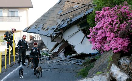 Suman 25 muertos por último sismo en Japón