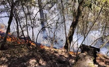 Hidalgo registra al menos 8 incendios forestales; intensas llamas amenazan a varias comunidades