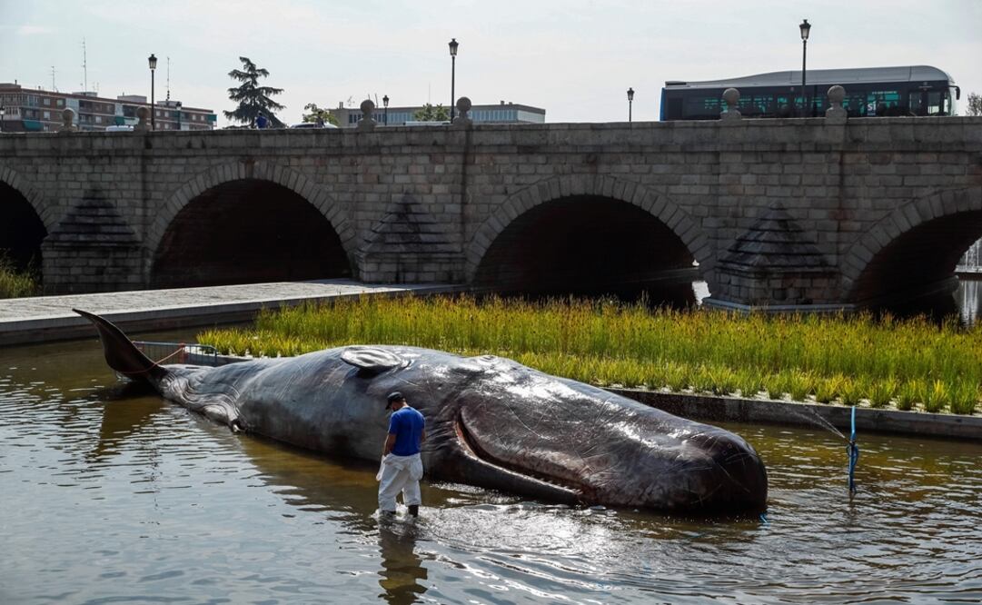 Foto: EFE/Emilio Naranjo