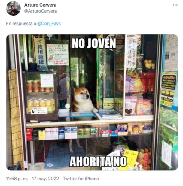 ¡Empleada de mes!: perrita atiende ferretería y se vuelve viral