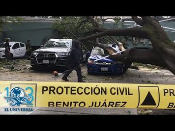 Árbol aplasta automóviles por fuertes vientos en Benito Juárez