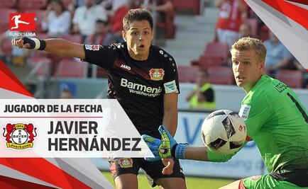 'Chicharito', mejor jugador de la semana en Bundesliga
