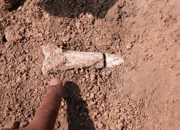 Restos humanos en Reino Unido datan de hace 500 mil años