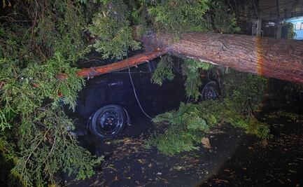 Activaron operativo Tlaloque por fuertes lluvias en la CDMX; Álvaro Obregón y Magdalena Contreras, las alcaldías más afectadas