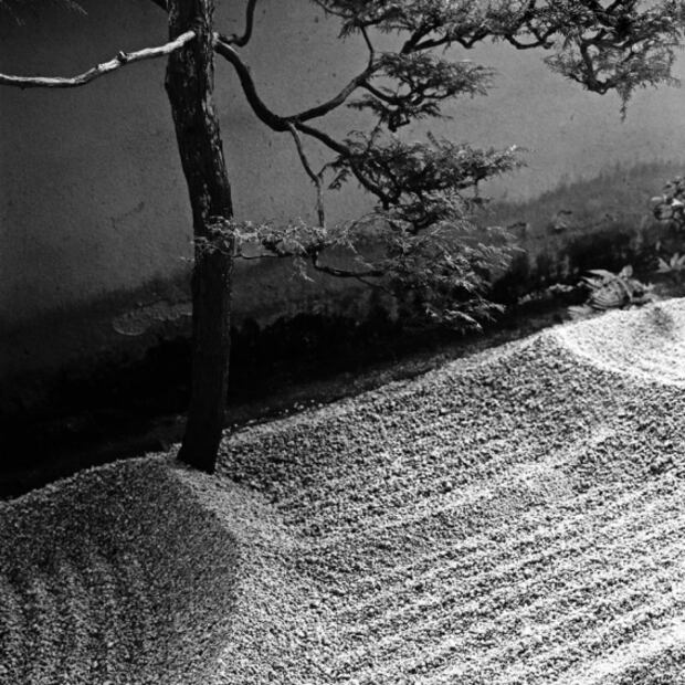 Graciela Iturbide: He llegado poco a poco al principio de la creación