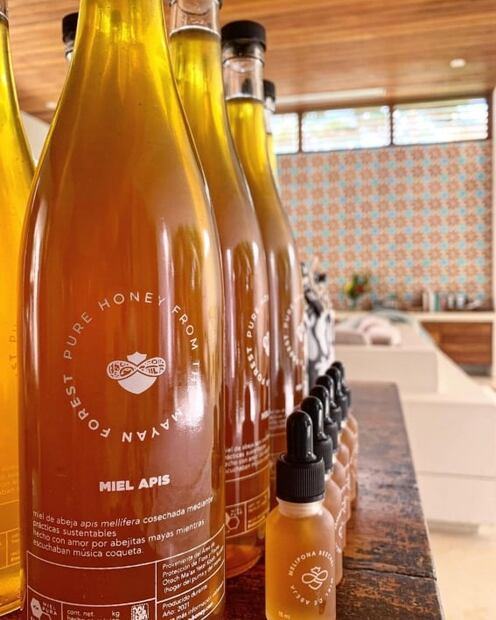 Queen Bee Honey, un proyecto de miel consciente 