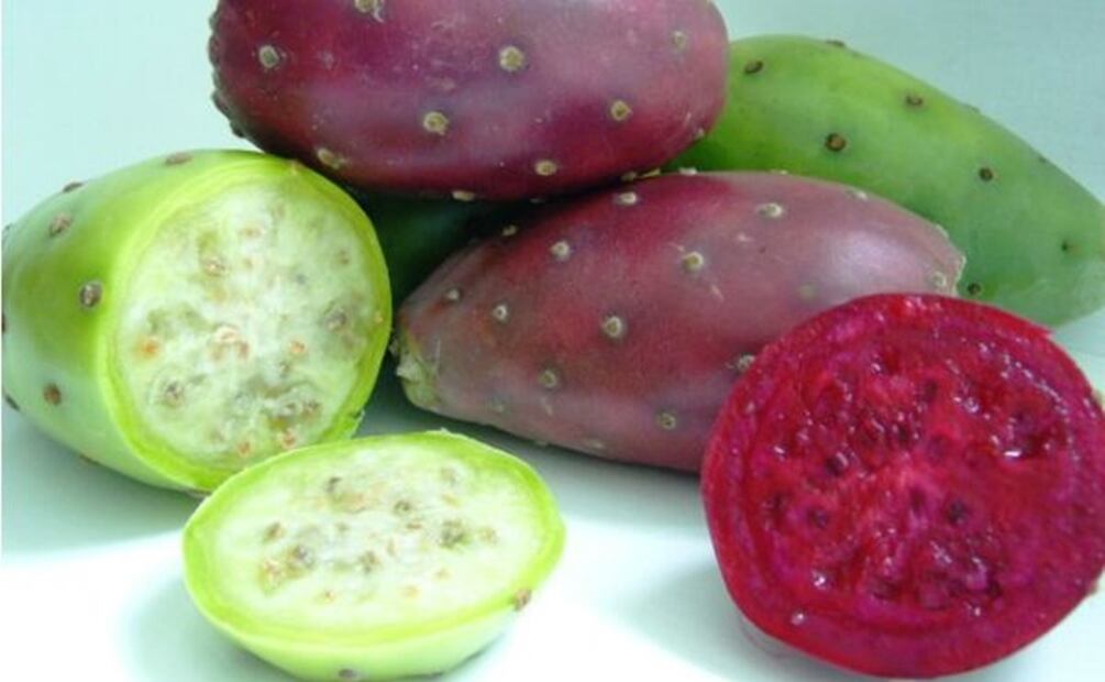 Científica del IPN crea tratamiento para la gastritis. Foto: El Poder del Consumidor