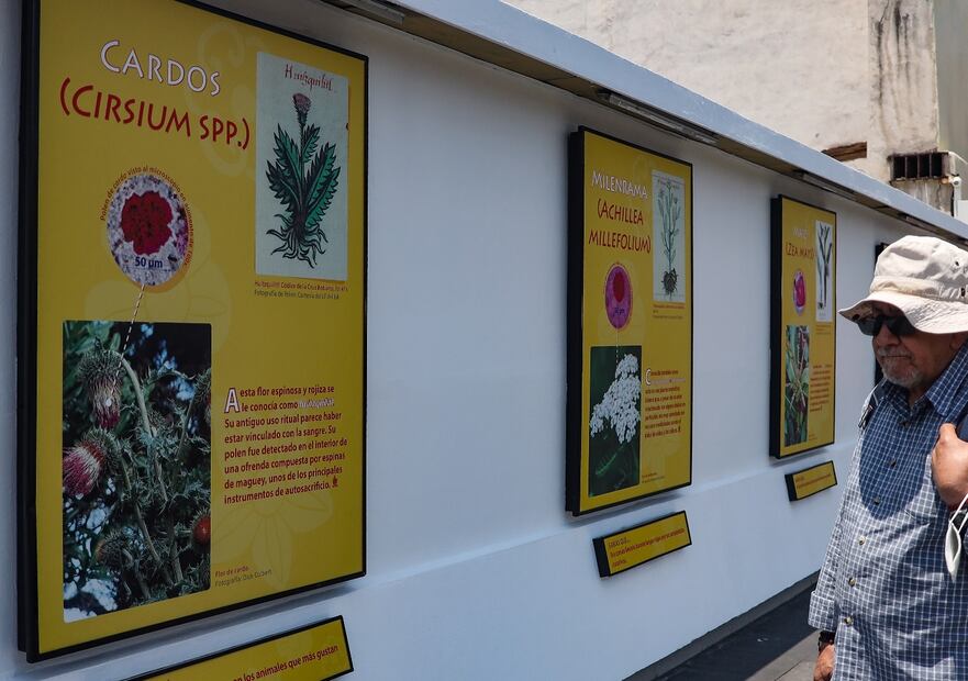 Exposición "Flores para Huitzilopochtli", en el corredor peatonal de República de Guatemala y Argentina, en en Centro Histórico de la Ciudad de México.