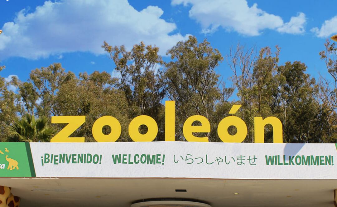 Piden investigar muerte de animales en Zoológico de León en Guanajuato (04/12/2025). Foto: Captura de pantalla