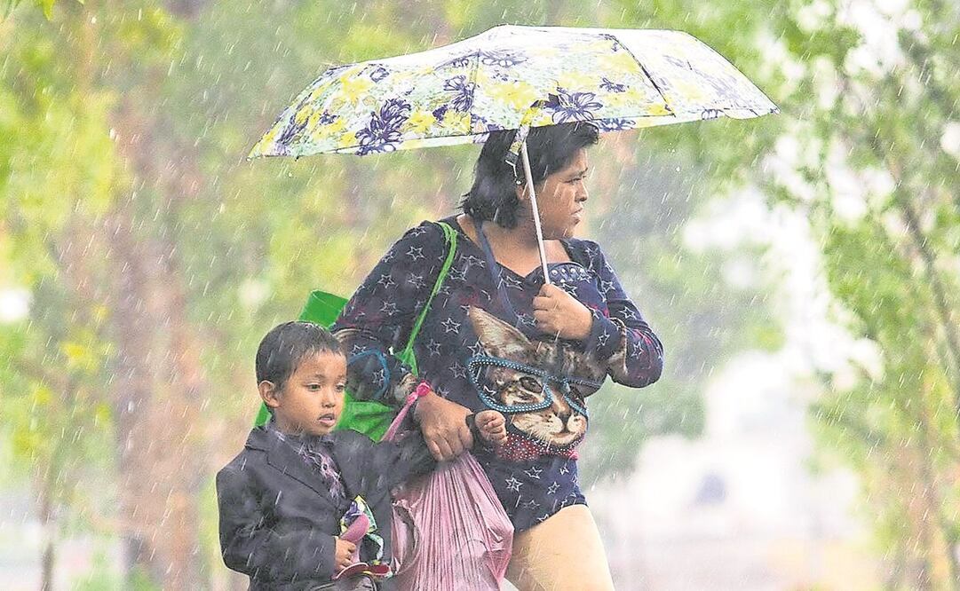 Foto: Archivo. EL UNIVERSAL