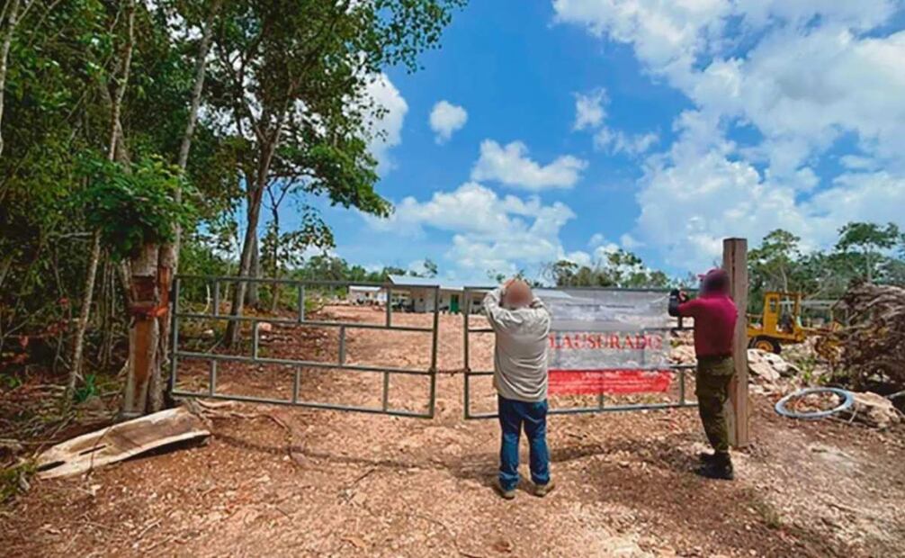 Reportan 200 casos de daño ambiental en Yucatán (13/07/2025). Foto: Especial