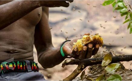 La extraña relación de personas y pájaros para recolectar miel