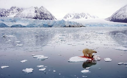 EU, UE y otros países se comprometen a proteger al Ártico