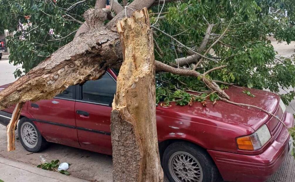 Frente frío provoca fuertes vientos en Yucatán (10/11/2025). Foto: Especial