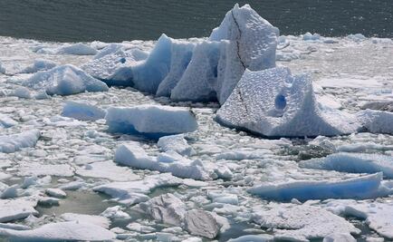 Ban Ki Moon espera que Trump entienda realidad del cambio climático 