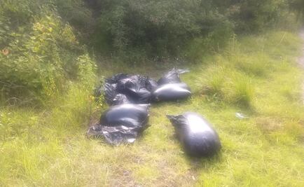 Encuentran 12 bolsas con restos humanos en Veracruz