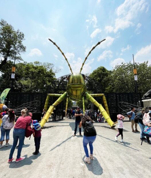 5 expos en CDMX para visitar en abril de 2022