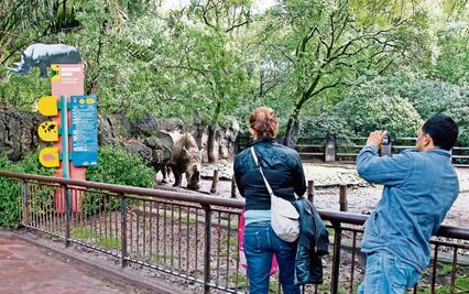 PRD afina iniciativa para que zoológicos se transformen en Bioparques