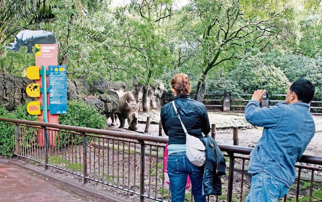 Foto: ARCHIVO. EL UNIVERSAL