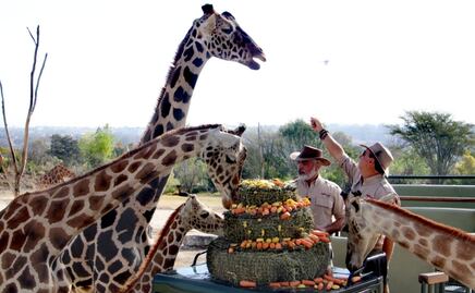 FOTOS: Así fue el encuentro de “Benito” con sus nuevos amigos en Puebla