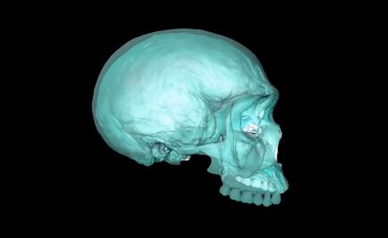 Reconstruyen virtualmente el cráneo del ancestro del Homo Sapiens