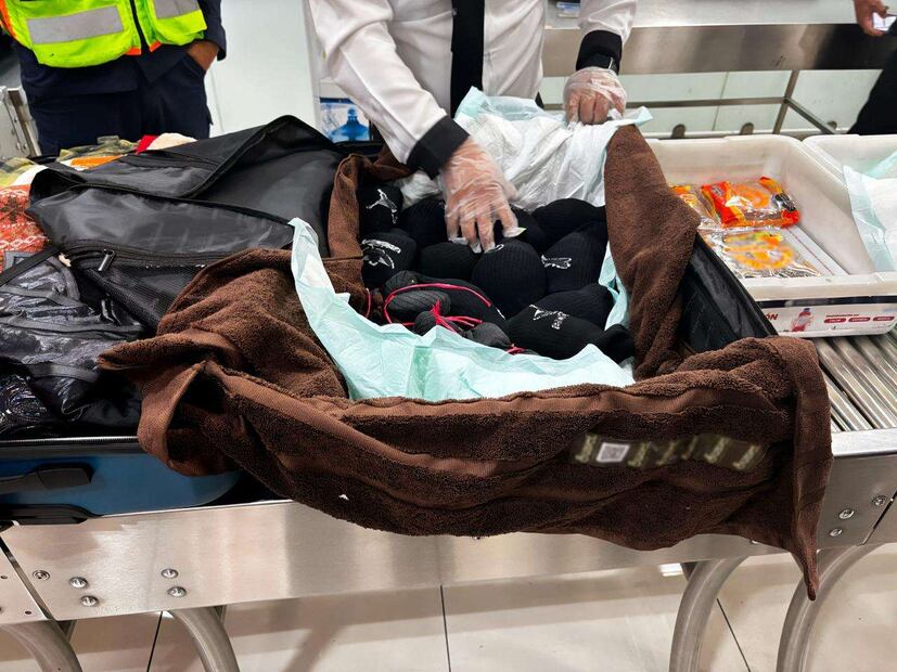 Profepa detiene tráfico de más de 100 tortugas y ranas a Tokyo. Foto: Profepa