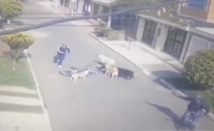 Cuidador de perros logra esquivar cinco tiros tras abatir un intento de asalto en Colombia 