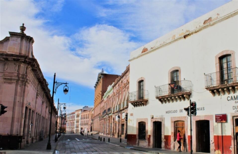 La temporada de cosecha llegó a los viñedos de Zacatecas