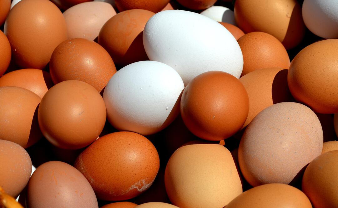 Guarda los huevos dentro de un recipiente en el refrigerador entre 1ºC y 10 ºC, así mantendrás la protección natural del cascarón frente a microorganismos externos. Foto: Pixabay