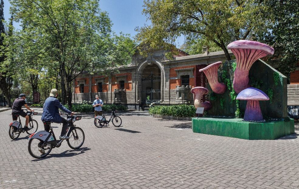 Visitantes observan uno de los seis hongos monumentales forman parte del festival Spora, que este año se realizará del 17 al 20 de abril en Chapultepec, el viernes 11 de abril de 2025. Foto: Yaretzy M. Osnaya/EL UNIVERSAL